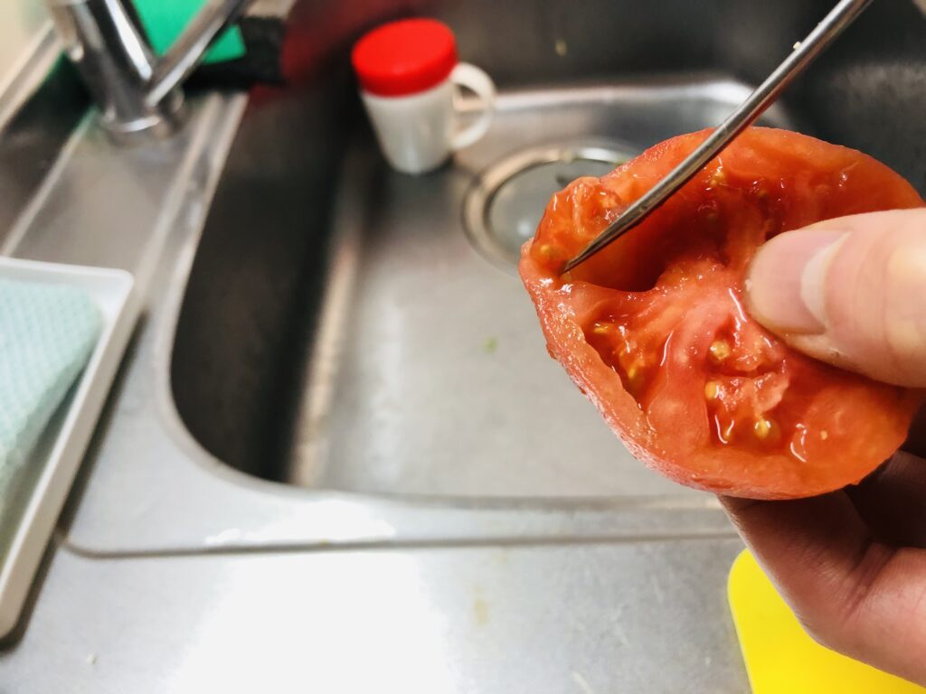 スプーンの柄を使ってトマトの種を取り除く様子の画像です。